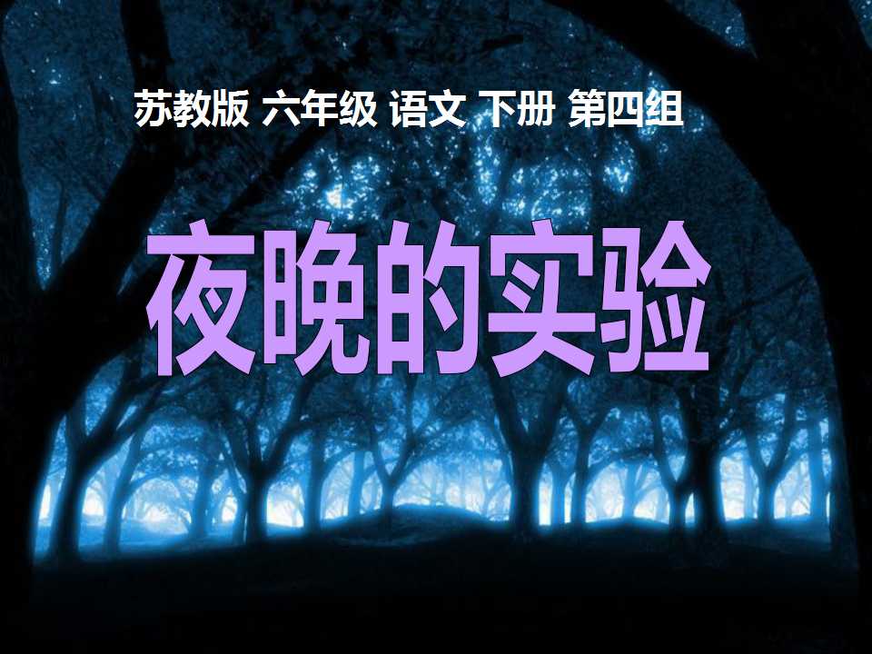 《夜晚的实验》PPT课件5