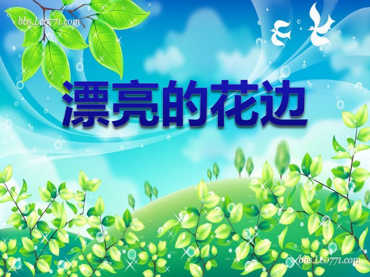 《漂亮的花边》PPT课件2