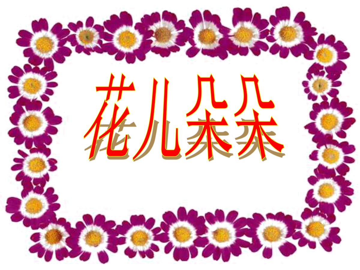 《花儿朵朵》PPT课件2