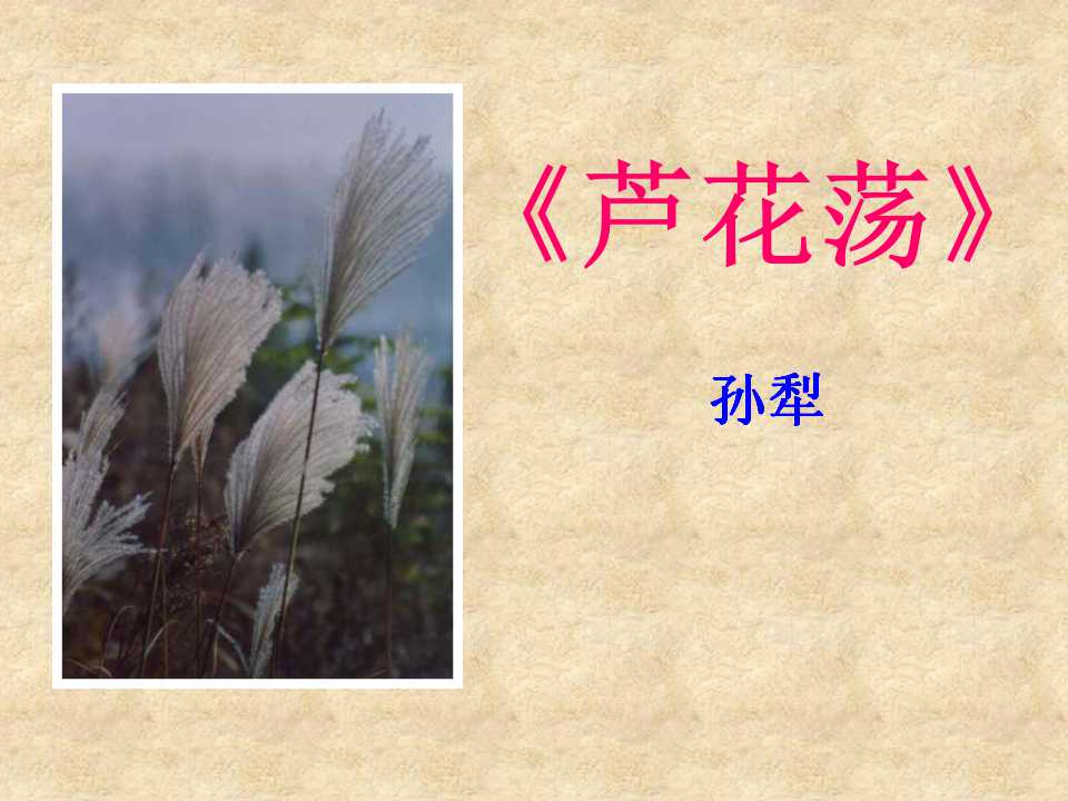 《芦花荡》PPT课件6