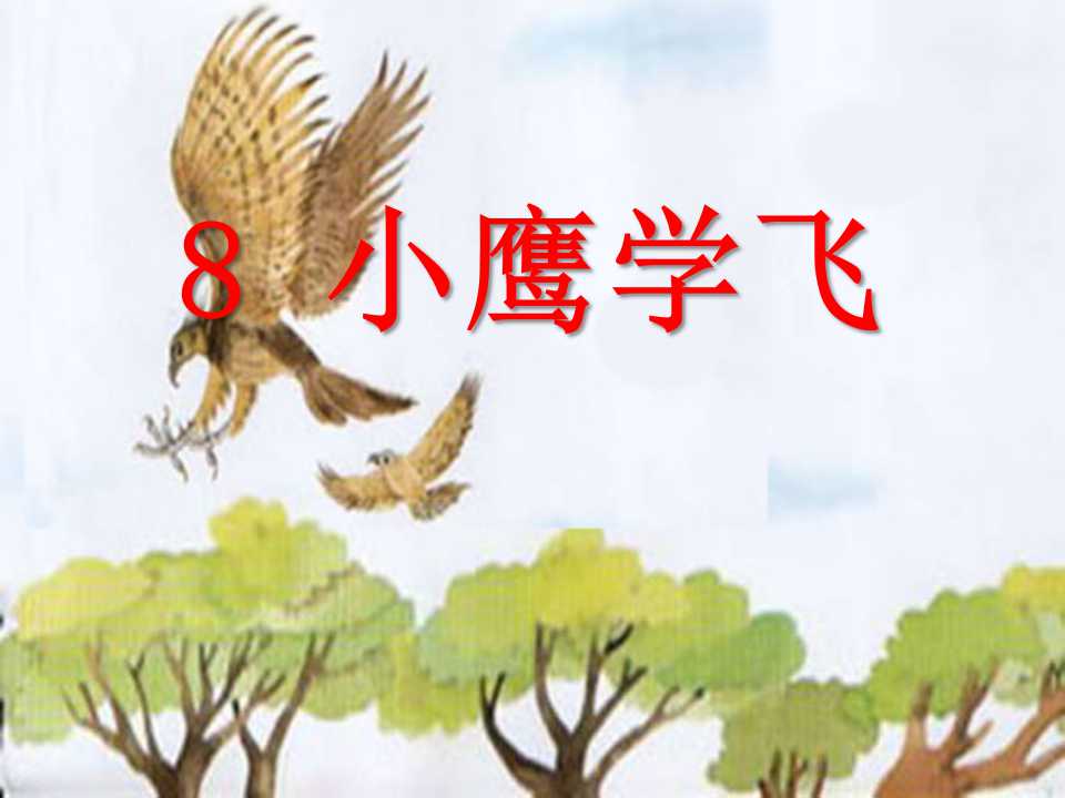 《小鹰学飞》PPT课件3