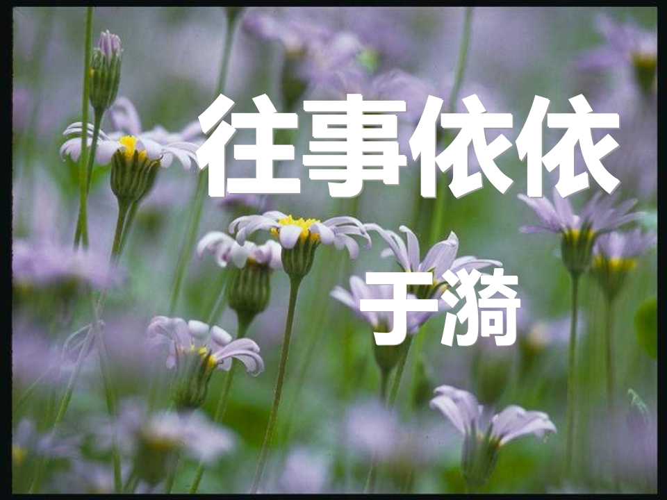 《往事依依》PPT课件2