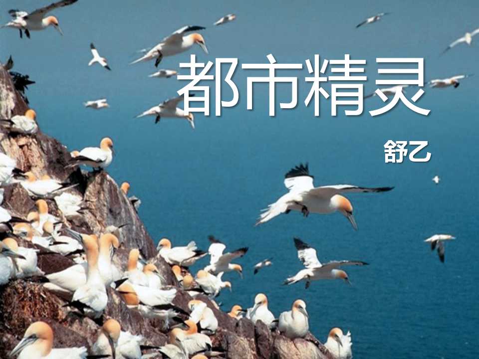 《都市精灵》PPT课件