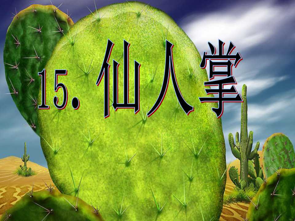 《仙人掌》PPT课件4