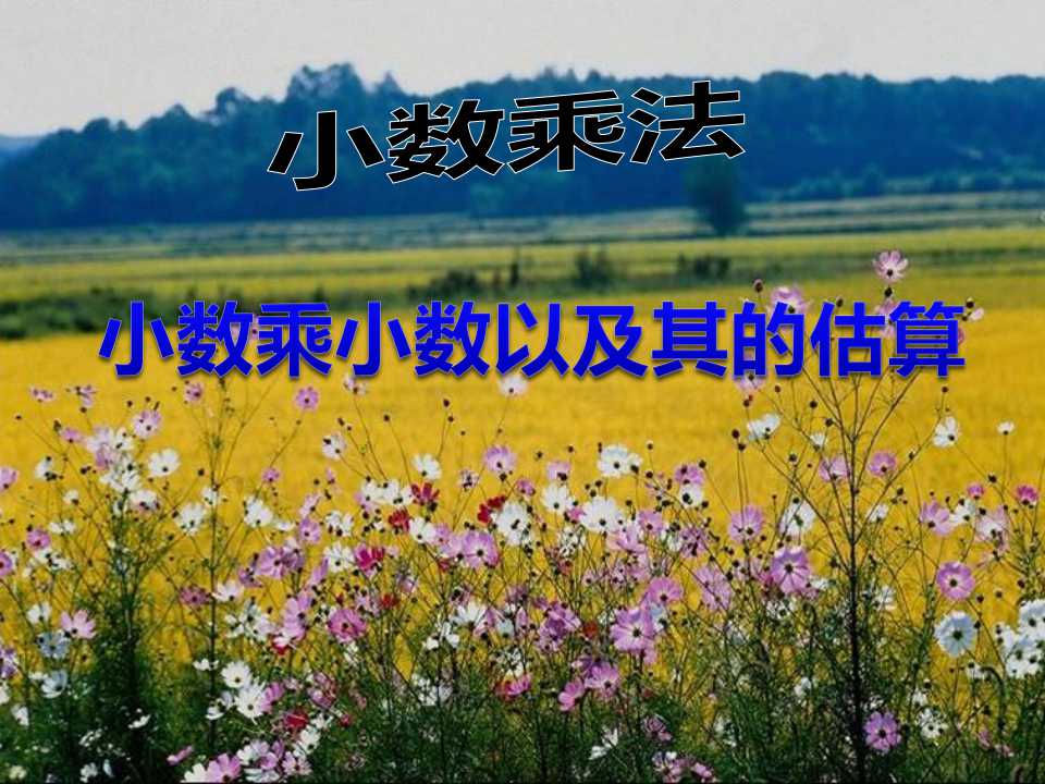 《小数乘小数以及其的估算》小数乘法PPT课件2