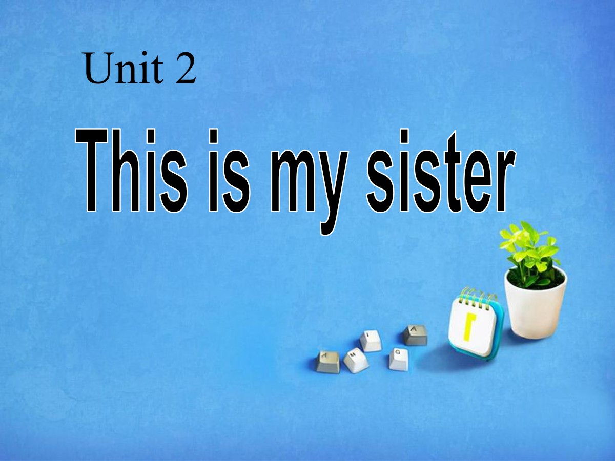 《This is my sister》PPT课件5