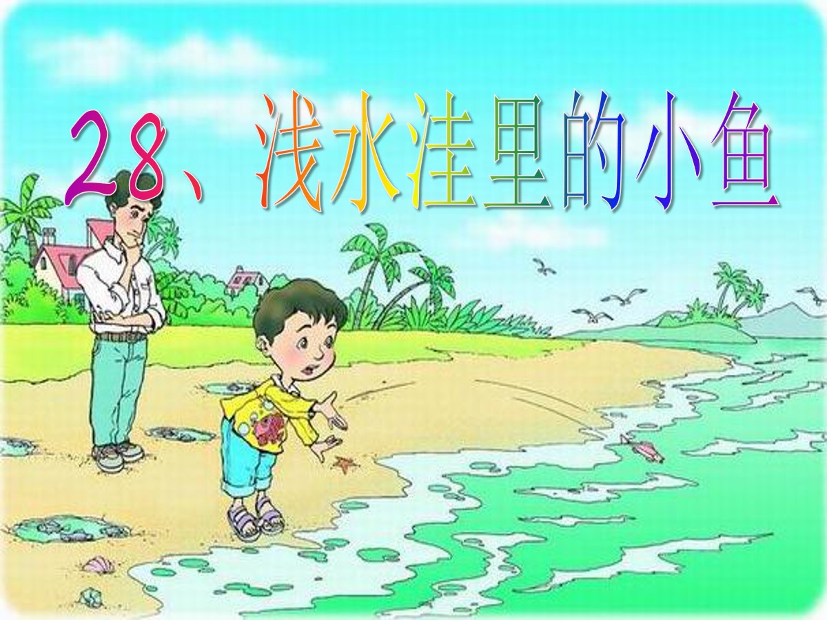 《浅水洼里的小鱼》PPT课件