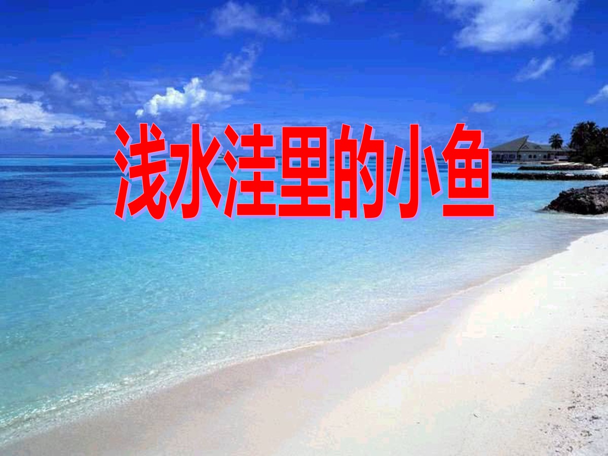 《浅水洼里的小鱼》PPT课件3