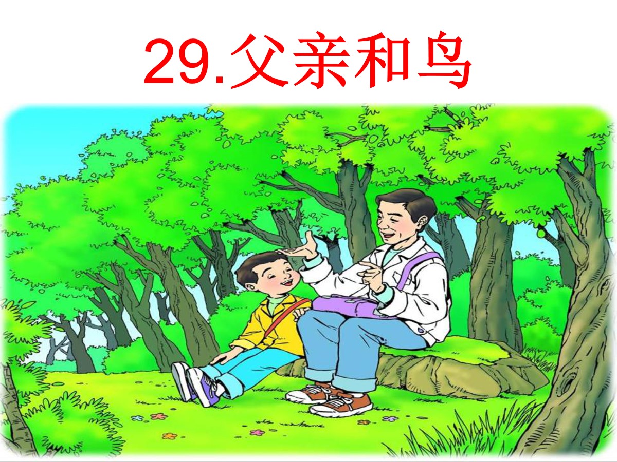 《父亲和鸟》PPT课件