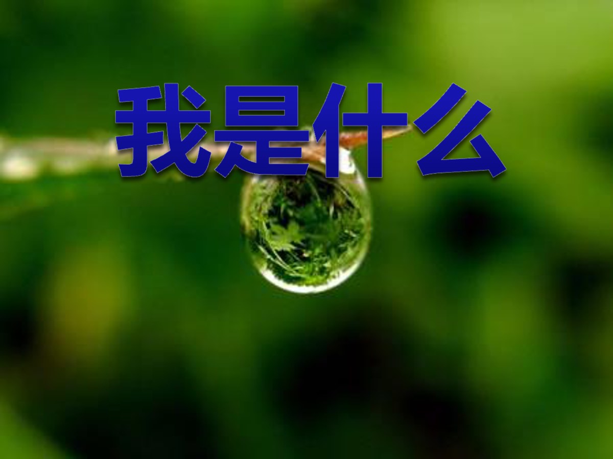 《我是什么》PPT课件3