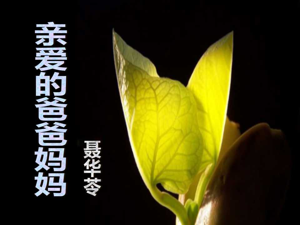 《亲爱的爸爸妈妈》PPT课件5