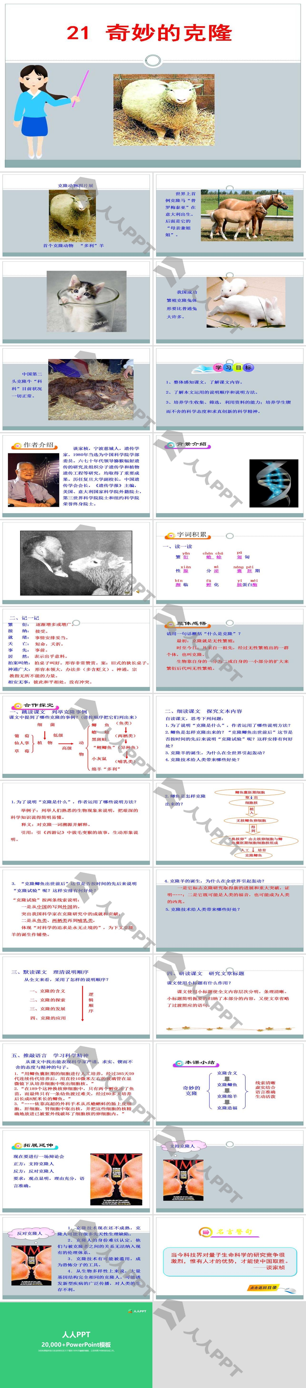 《奇妙的克隆》PPT课件8长图