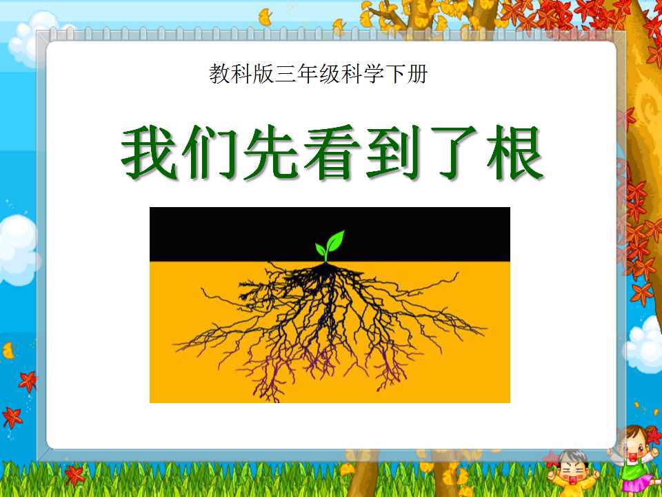 《我们先看到了根》植物的生长变化PPT课件