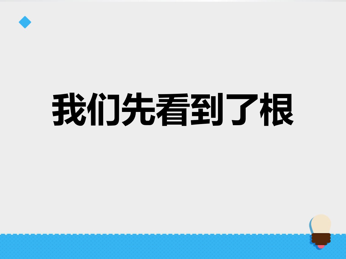 《我们先看到了根》植物的生长变化PPT课件3