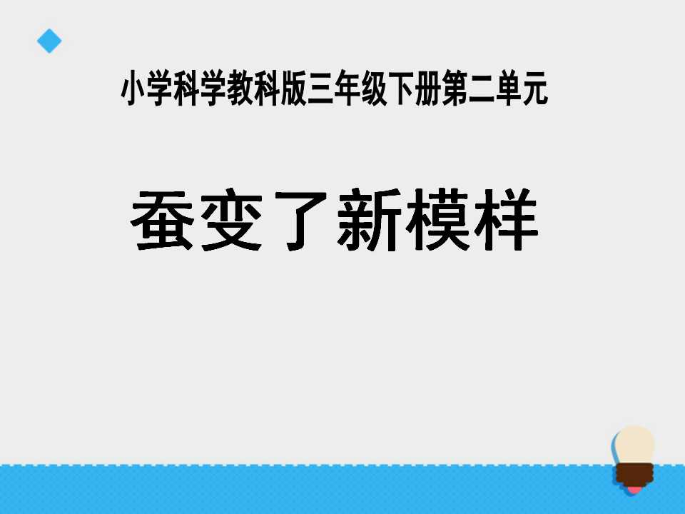 《蚕变了新模样》动物的生命周期PPT课件3