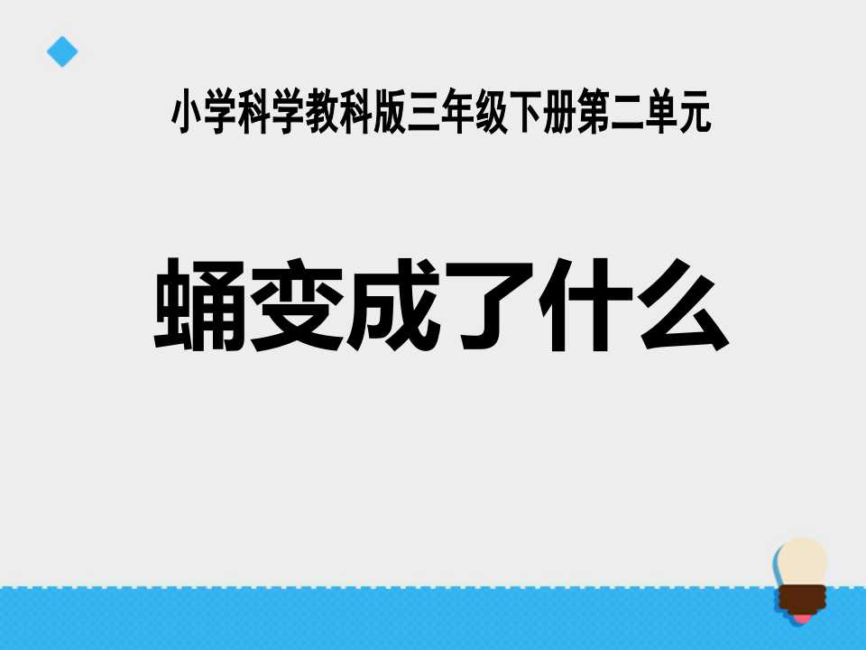 《蛹变成了什么》动物的生命周期PPT课件2