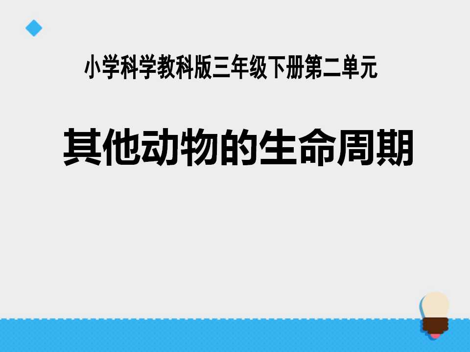 《其他动物的生命周期》动物的生命周期PPT课件