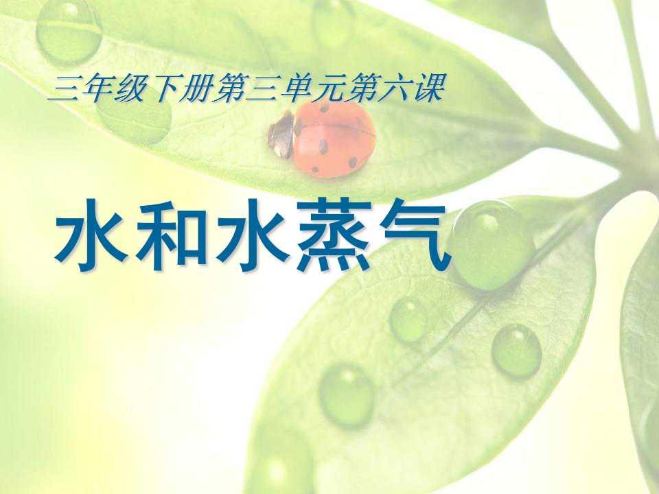 《水和水蒸气》温度和水的变化PPT课件2