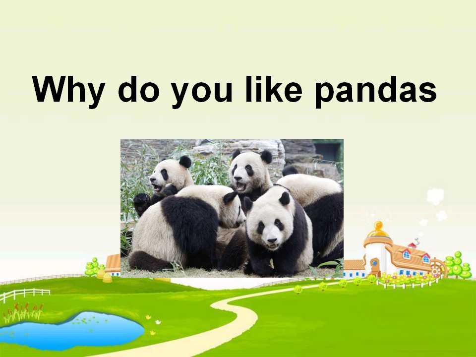 《Why do you like pandas?》PPT课件3