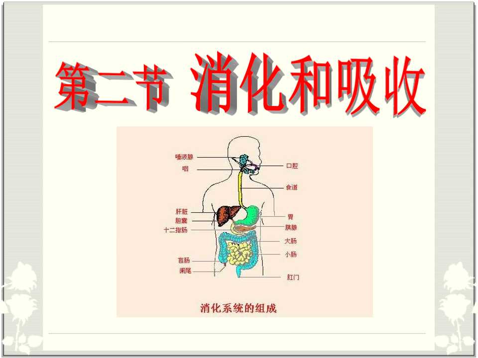 《消化和吸收》人体的营养PPT课件2