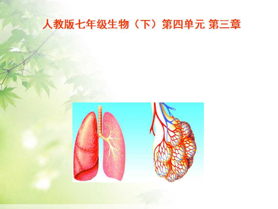 《呼吸道对空气的处理》人体的呼吸PPT课件