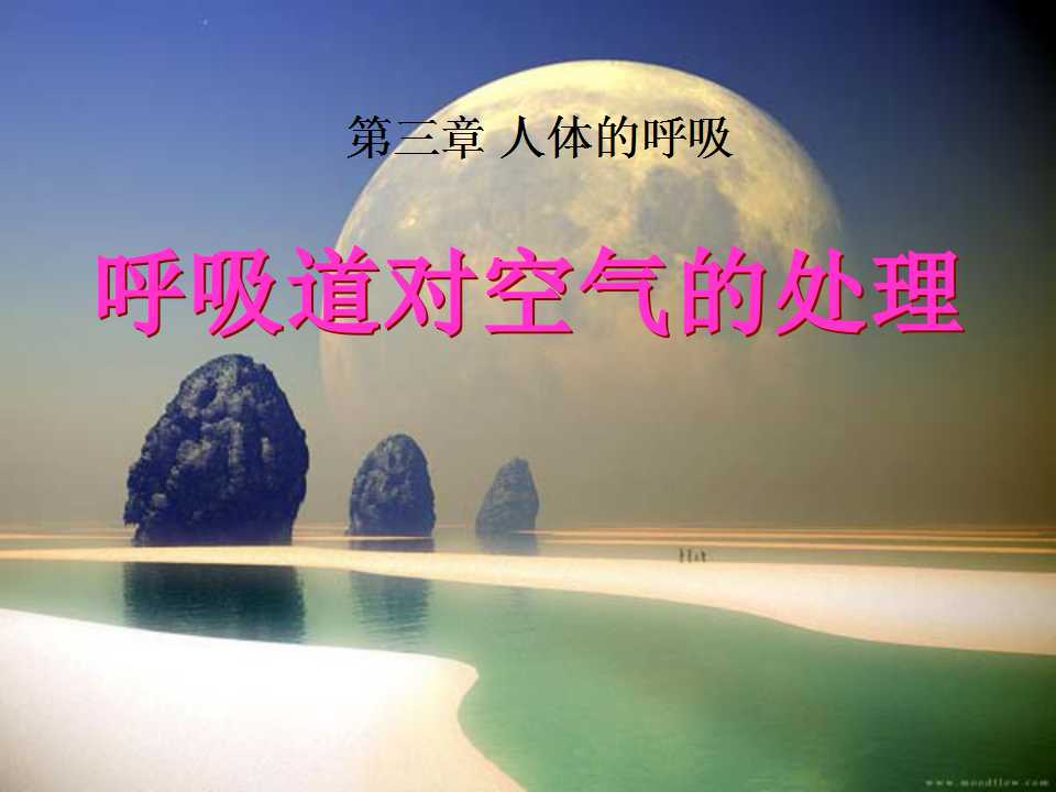 《呼吸道对空气的处理》人体的呼吸PPT课件3