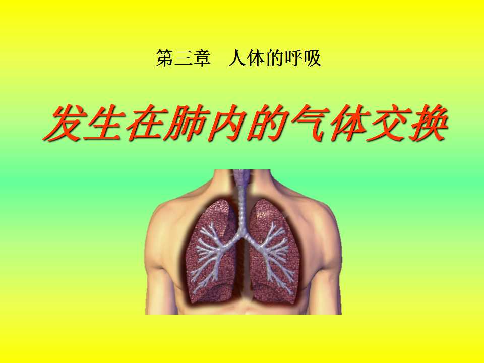 《发生在肺内的气体交换》人体的呼吸PPT课件2