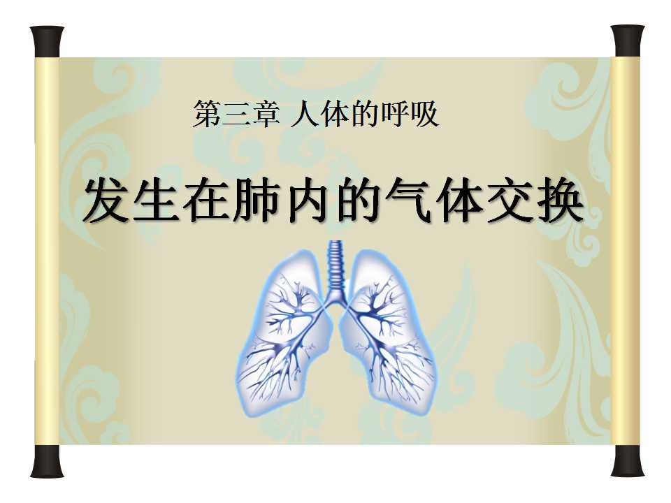 《发生在肺内的气体交换》人体的呼吸PPT课件3