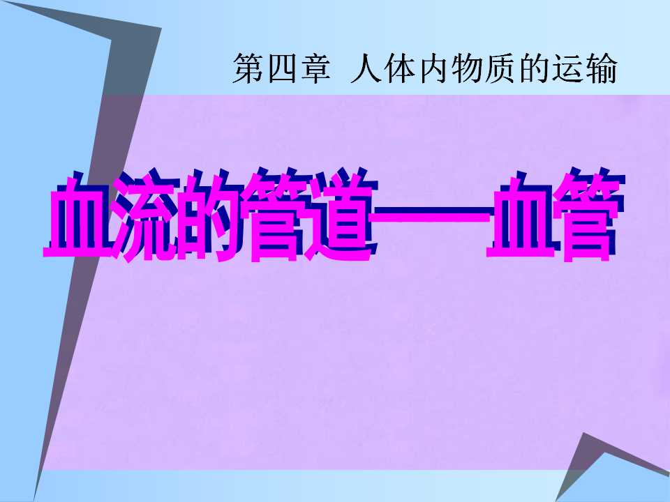 《血流的管道-血管》人体内物质的运输PPT课件4