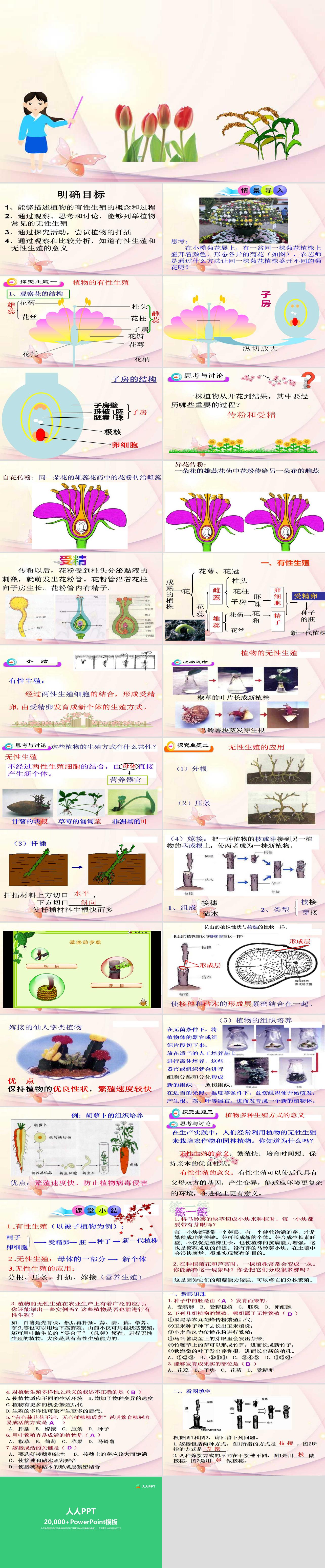 《植物的生殖》生物的生殖和发育PPT课件长图