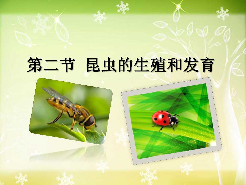 《昆虫的生殖和发育》生物的生殖和发育PPT课件5