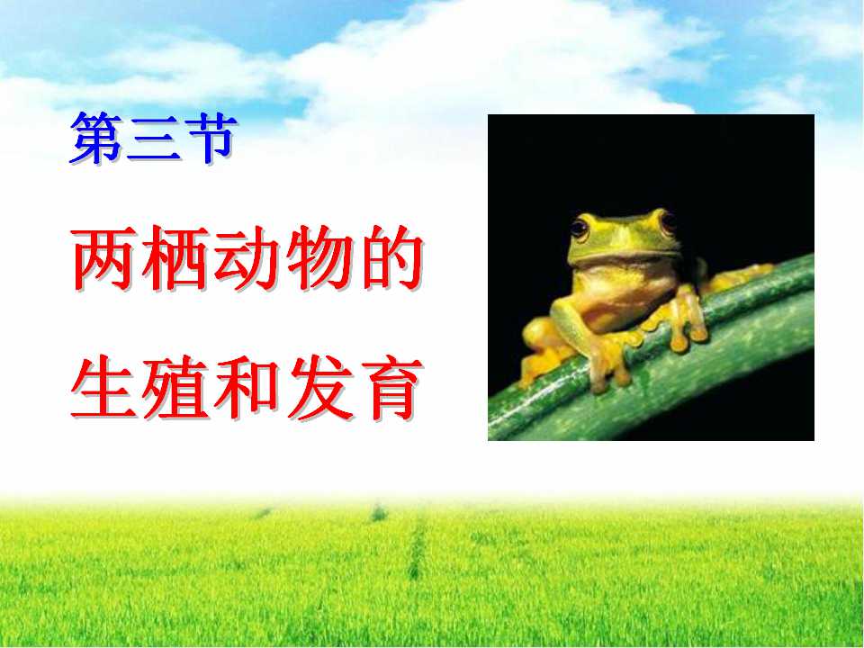 《两栖动物的生殖和发育》生物的生殖和发育PPT课件5