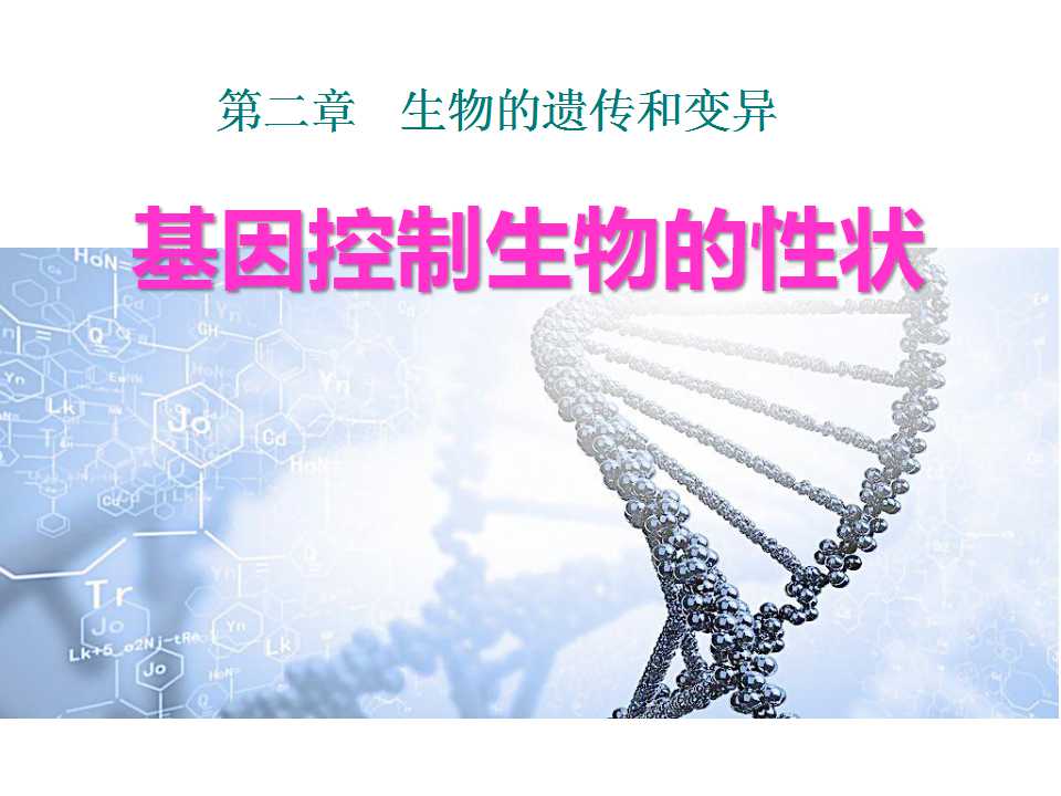 《基因控制生物的性状》生物的遗传和变异PPT课件4