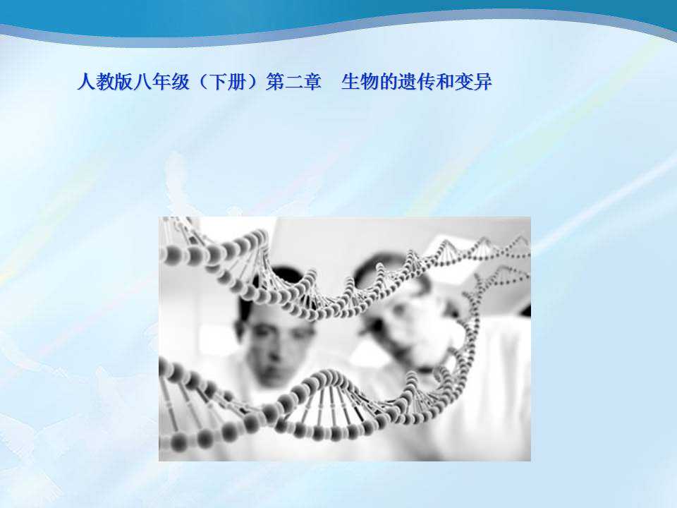 《基因控制生物的性状》生物的遗传和变异PPT课件5