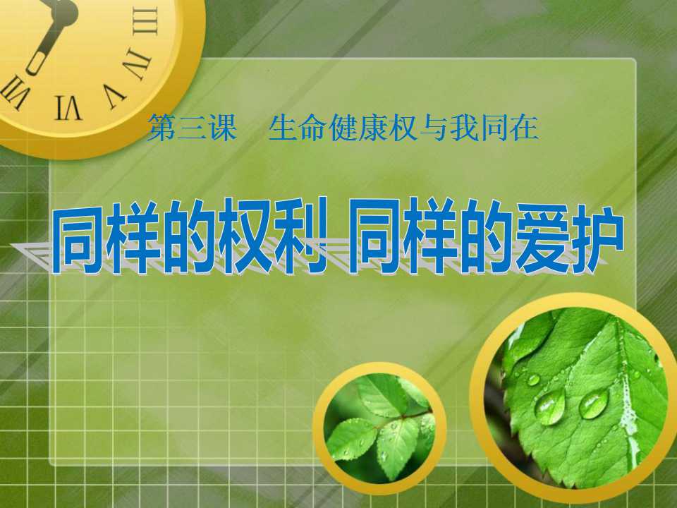 《同样的权利同样的爱护》生命健康权与我同在PPT课件3