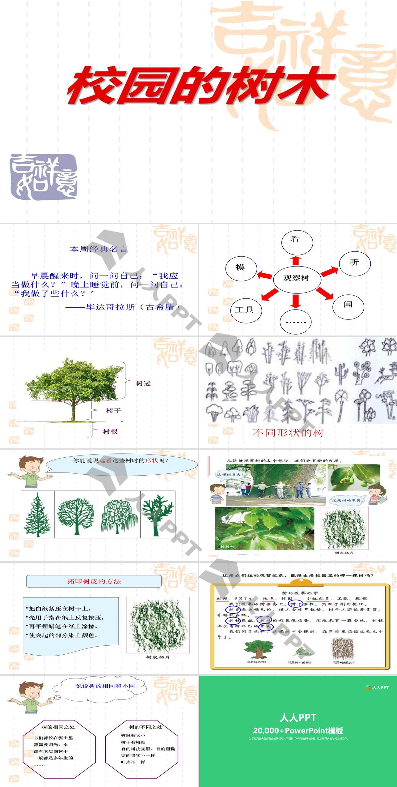 《校园的树木》植物PPT课件4长图