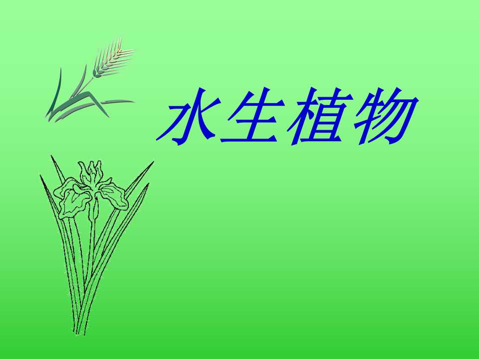 《水生植物》植物PPT课件4