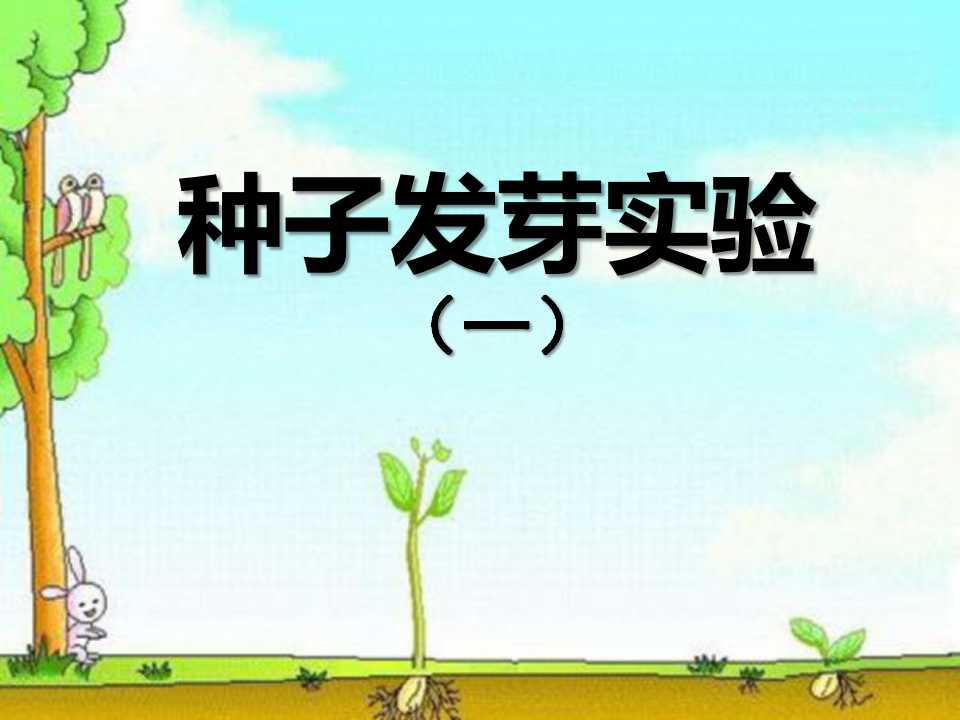 《种子发芽实验(一)》生物与环境PPT课件