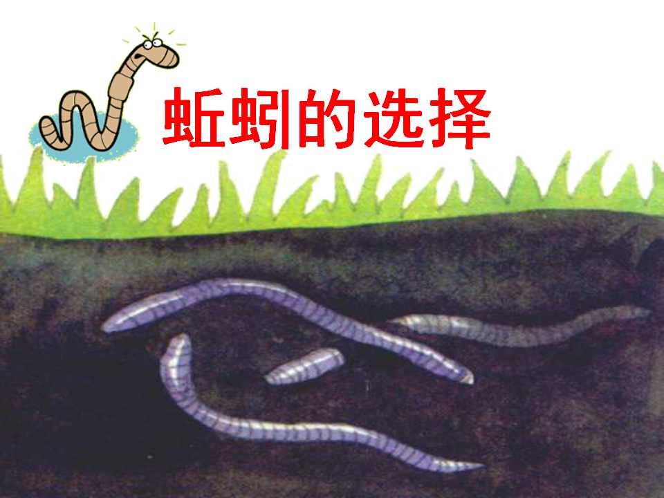 《蚯蚓的选择》生物与环境PPT课件