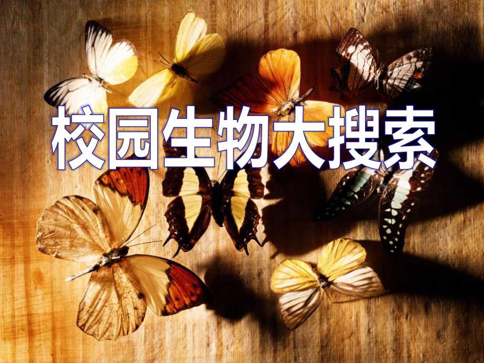 《校园生物大搜索》生物的多样性PPT课件