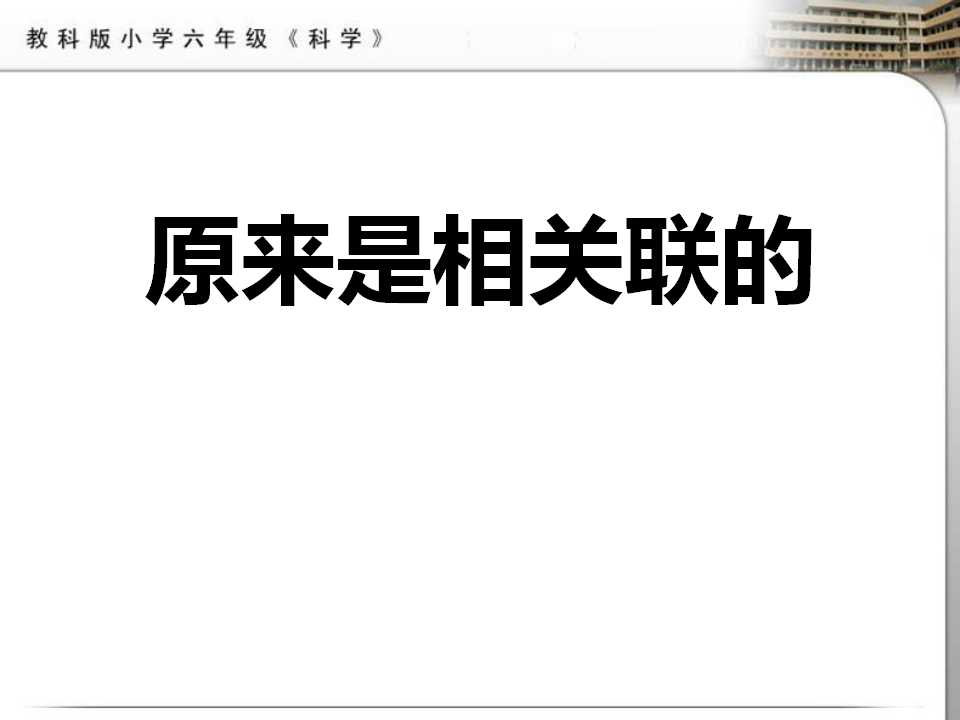 《原来是相关联的》生物的多样性PPT课件2