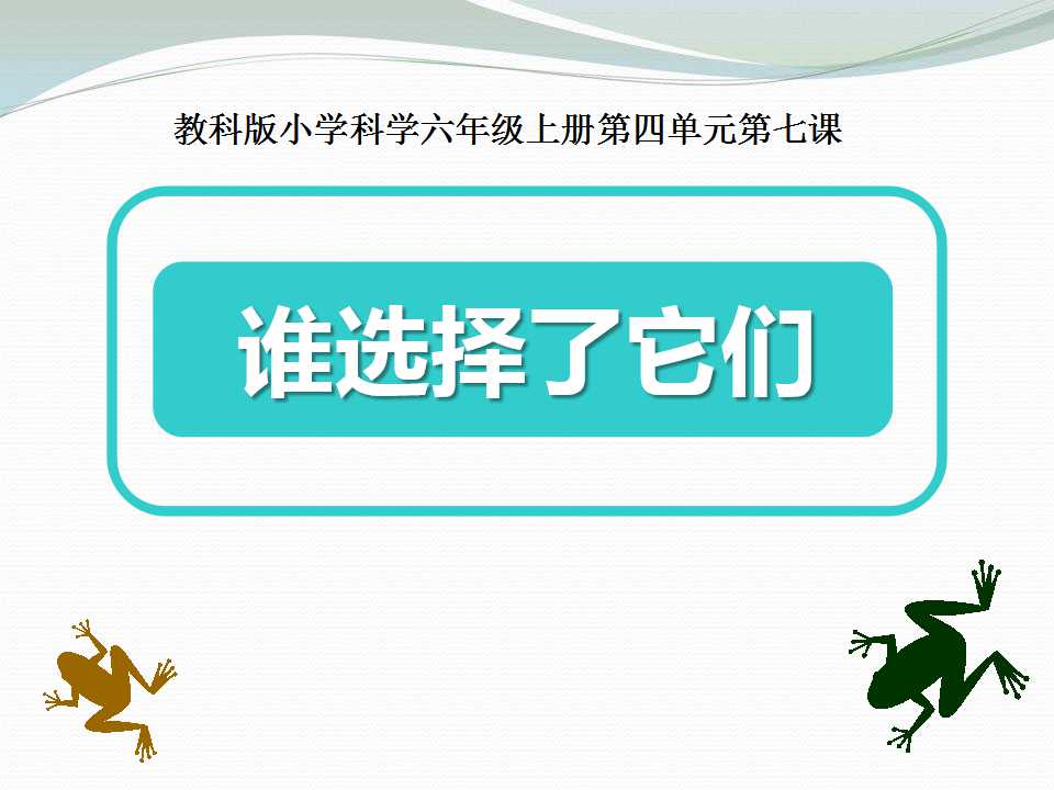 《谁选择了它们》生物的多样性PPT课件