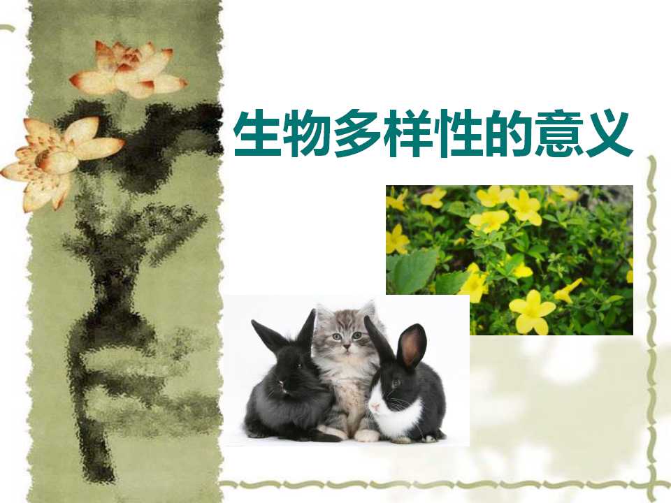 《生物多样性的意义》生物的多样性PPT课件5