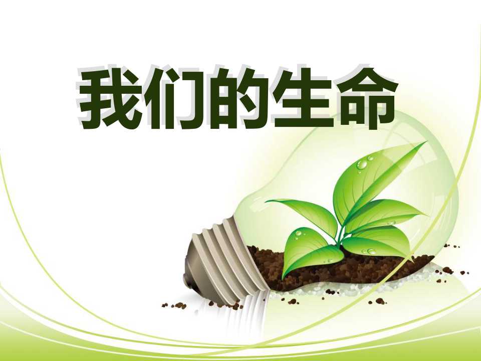 《我们的生命》珍爱生命PPT课件2