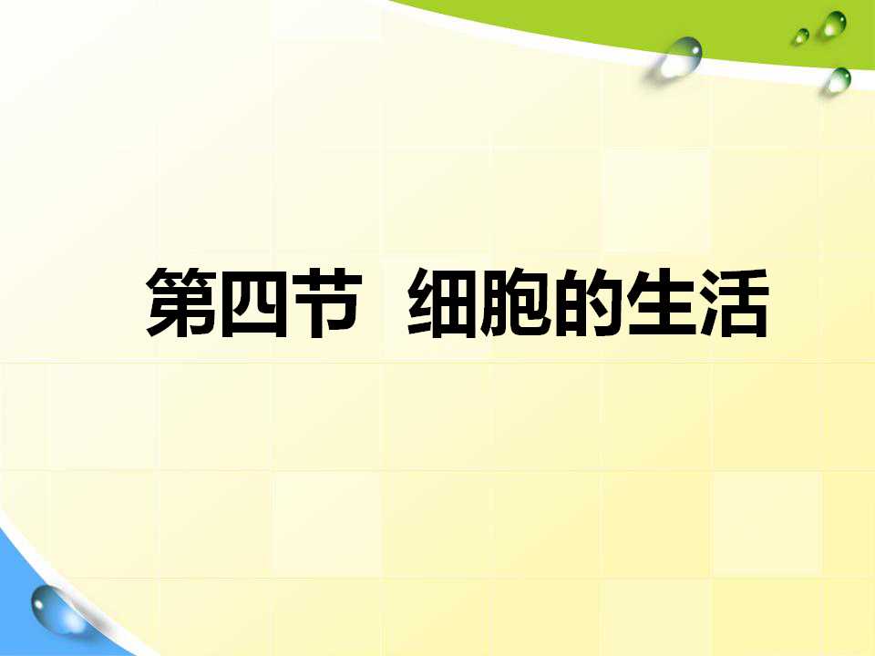 《细胞的生活》细胞是生命活动的基本单位PPT课件8