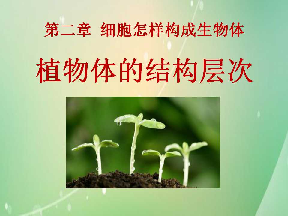 《植物体的结构层次》细胞怎样构成生物体PPT课件5