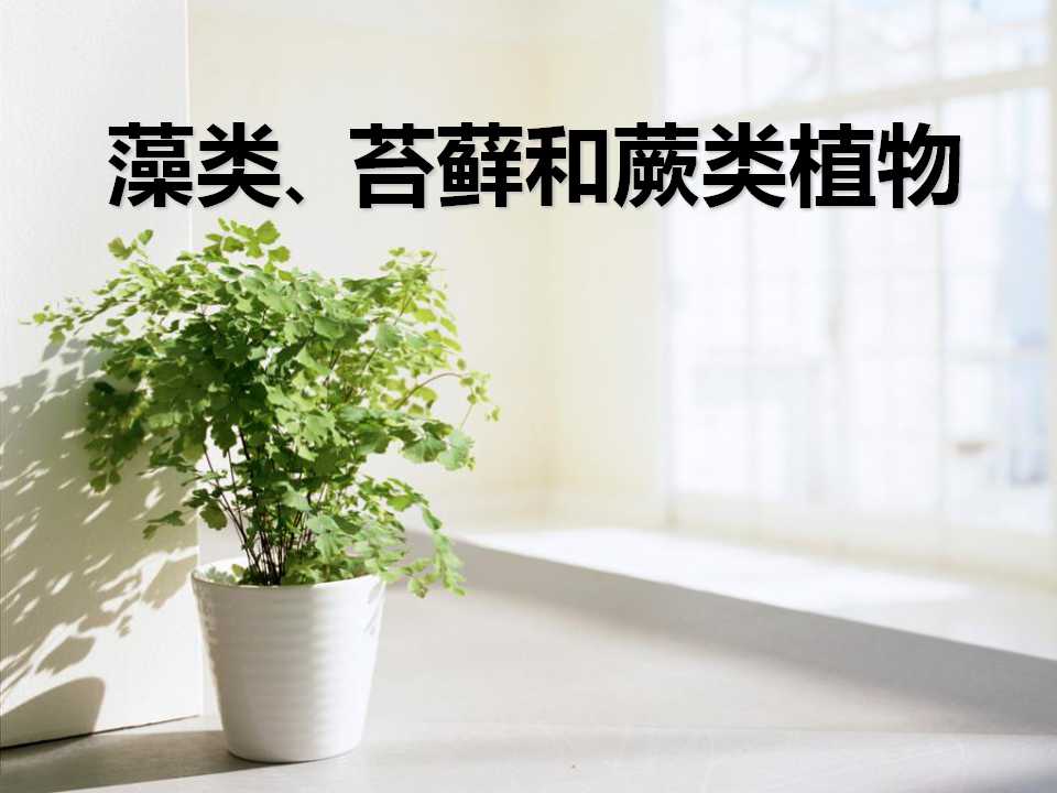 《藻类苔藓和蕨类植物》生物圈中有哪些绿色植物PPT课件