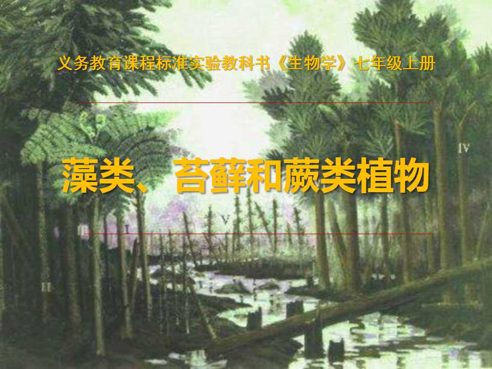 《藻类苔藓和蕨类植物》生物圈中有哪些绿色植物PPT课件2