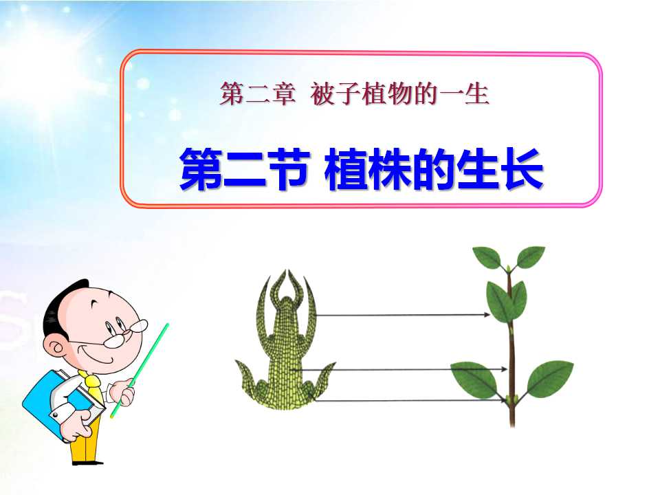 《植株的生长》被子植物的一生PPT课件