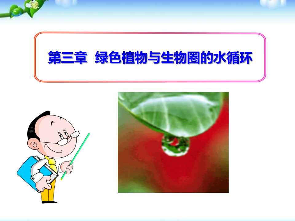 《绿色植物与生物圈的水循环》PPT课件2
